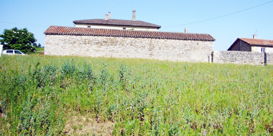 seneclauze architecte sénéclauze pommier